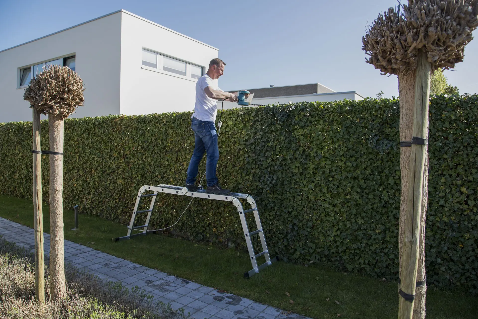 Ladders en stellingen | Galico