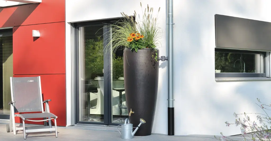 PU326109 - BIS1.webp