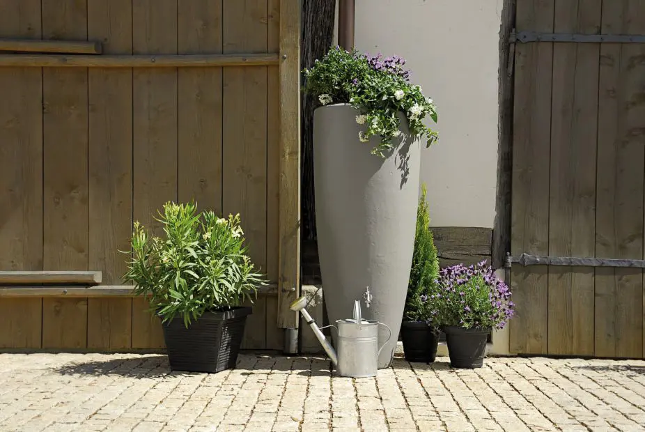 PU326111 - BIS1.webp