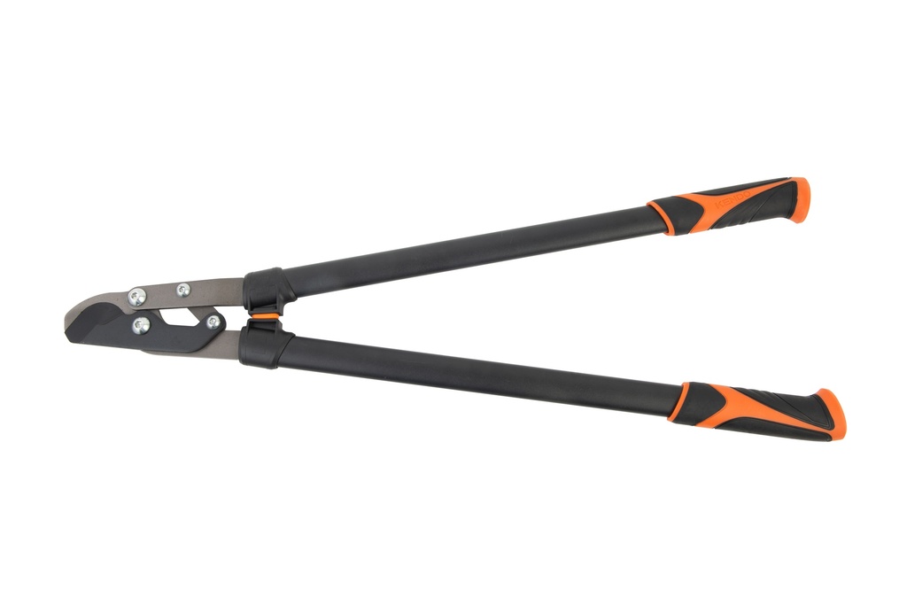 image_KE60221_2792_0