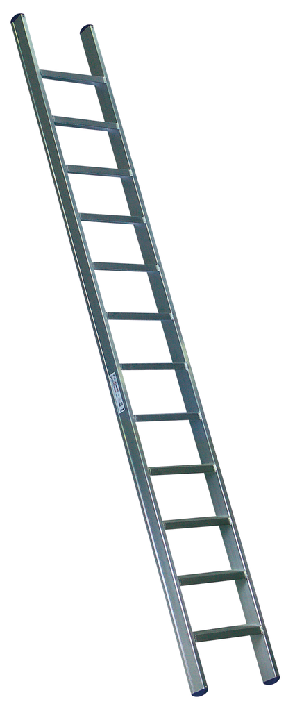 Single ladder