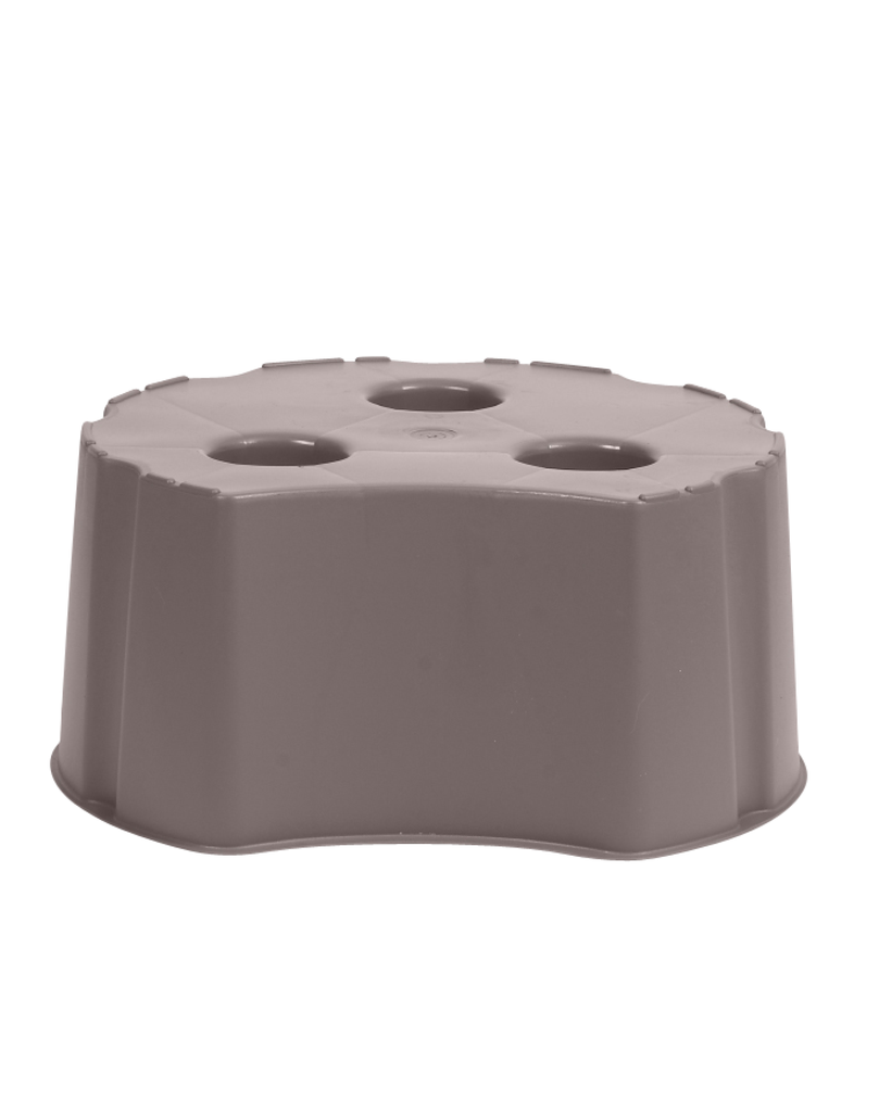 Pied Lanzarote